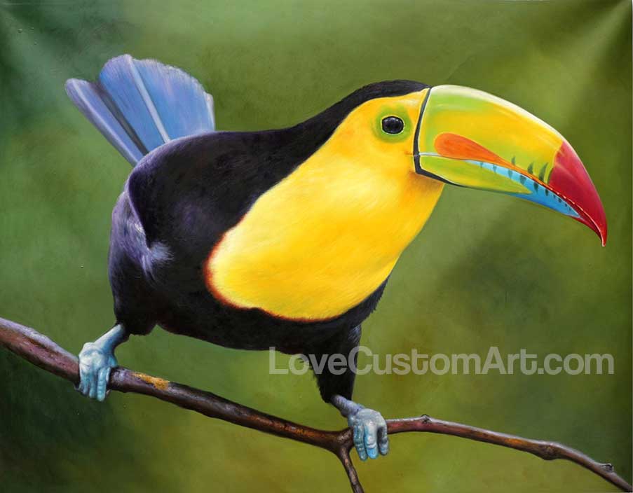 Toucan Bird Exotic painted from a photo
